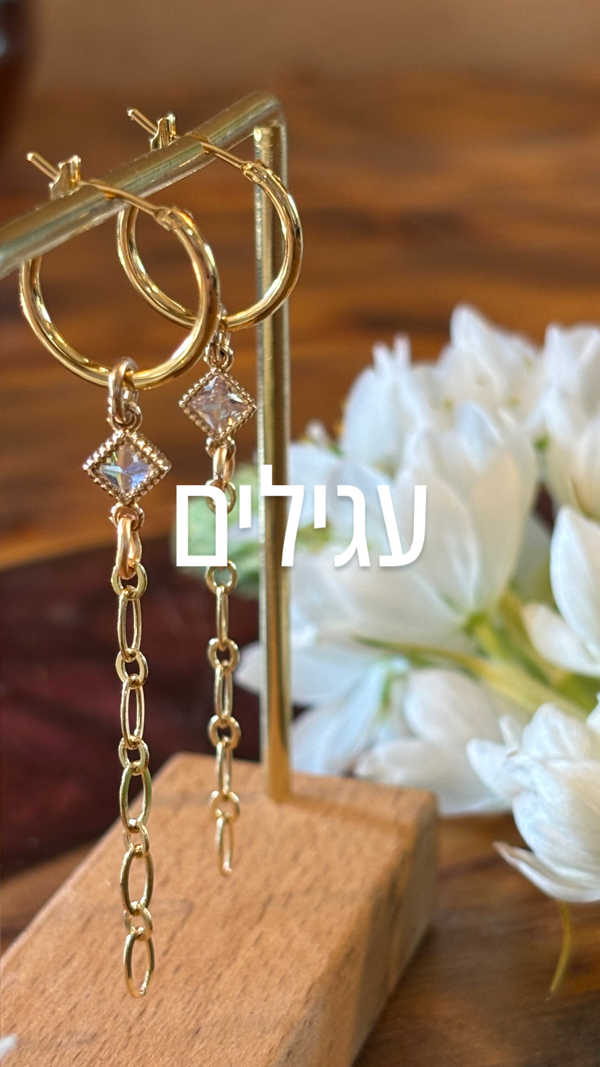 עגילים