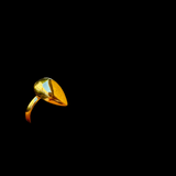 עמית ~ Amit