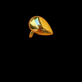 עמית ~ Amit