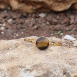 עין הנמר ~ Tiger eye