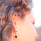 שקד ~ Shaked
